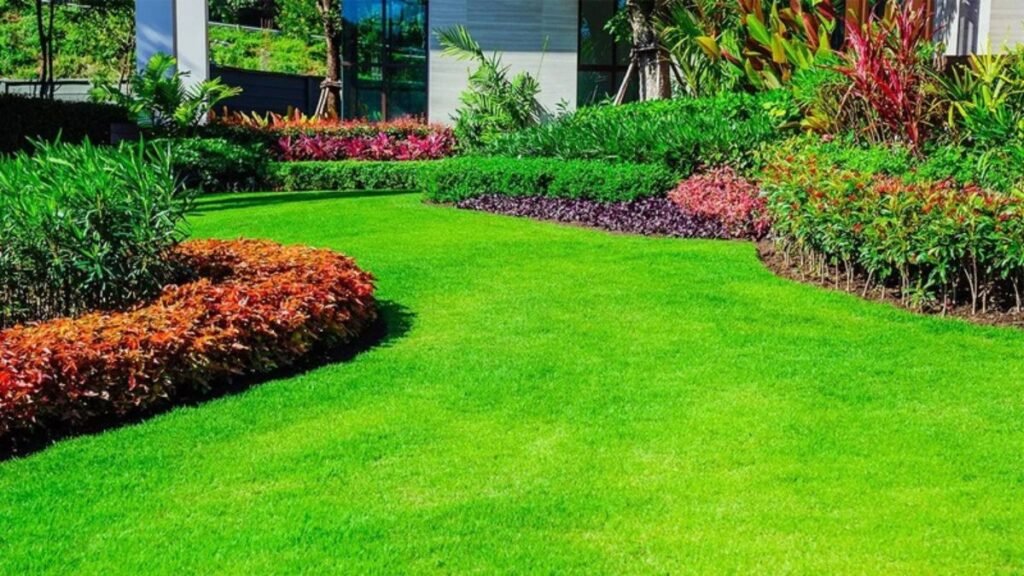 Secrets to Thriving Grass