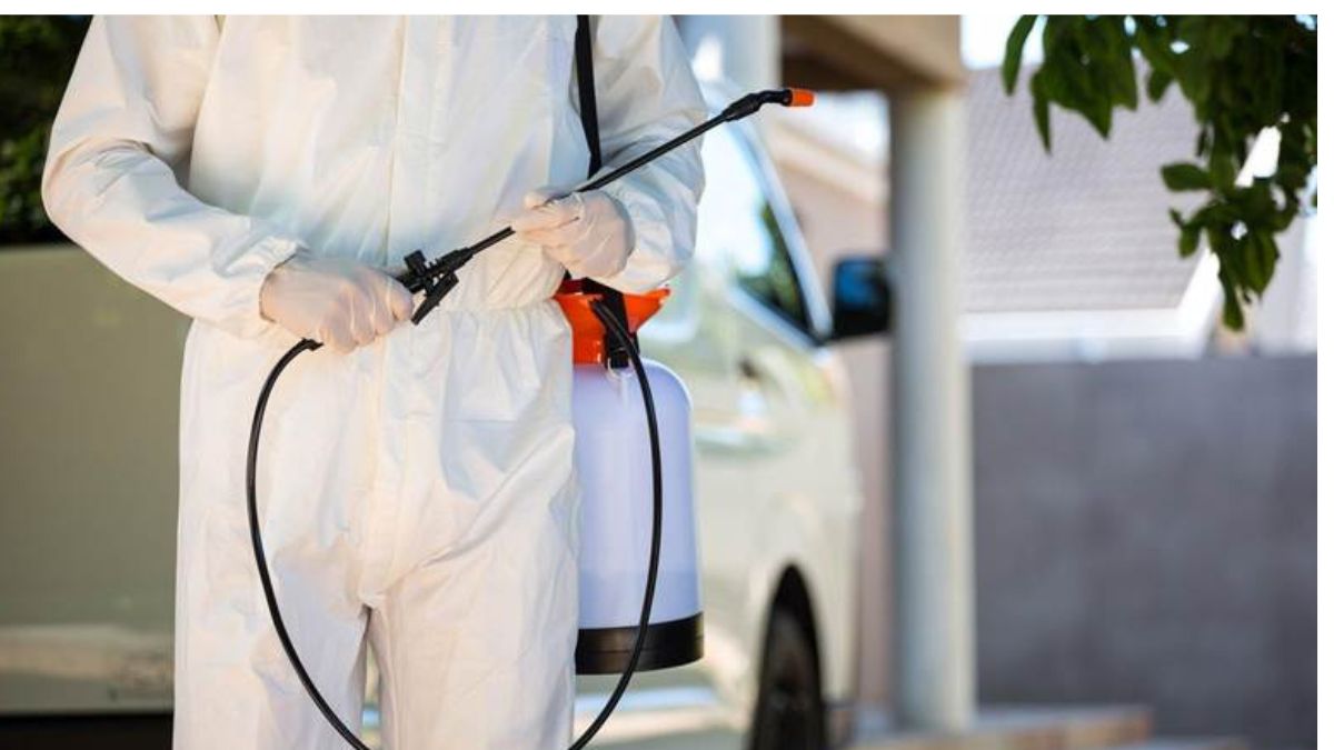 Eco-Friendly Pest Control Solutions for a Safer Home