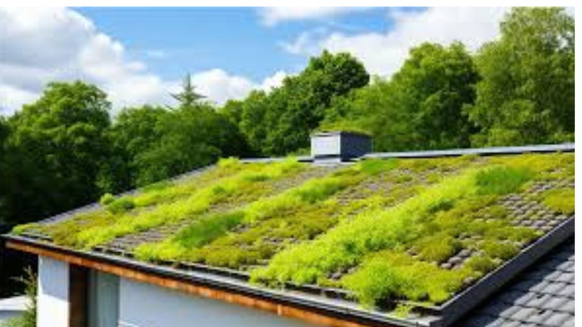 Incorporating Eco-Friendly Roofing Solutions