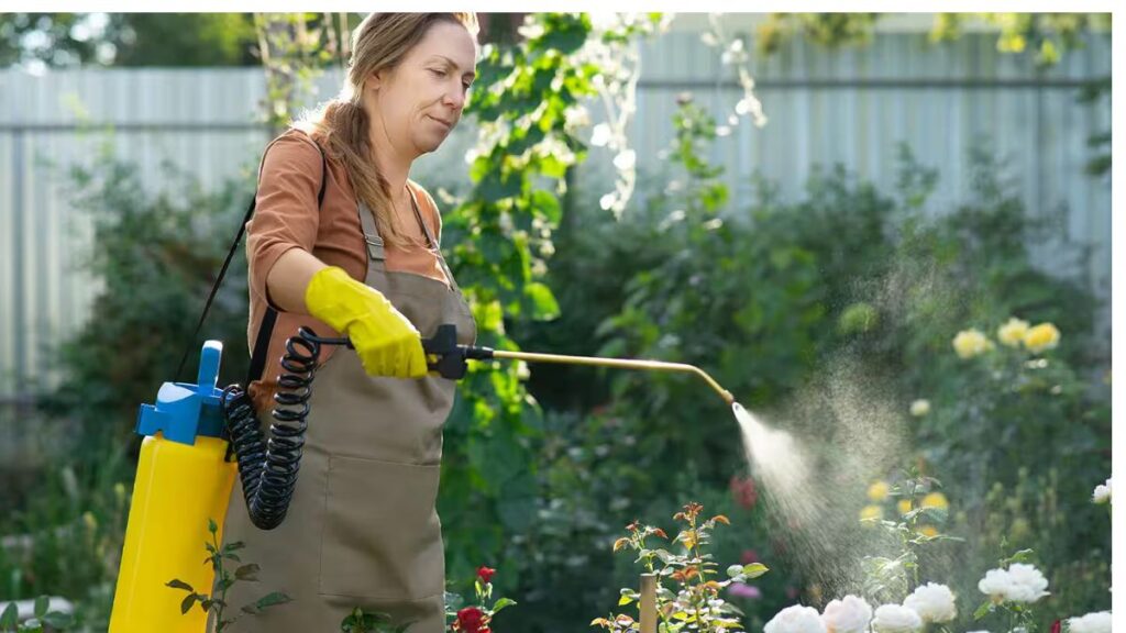 Practical Tips to Keep Your Outdoor Spaces Pest-Free