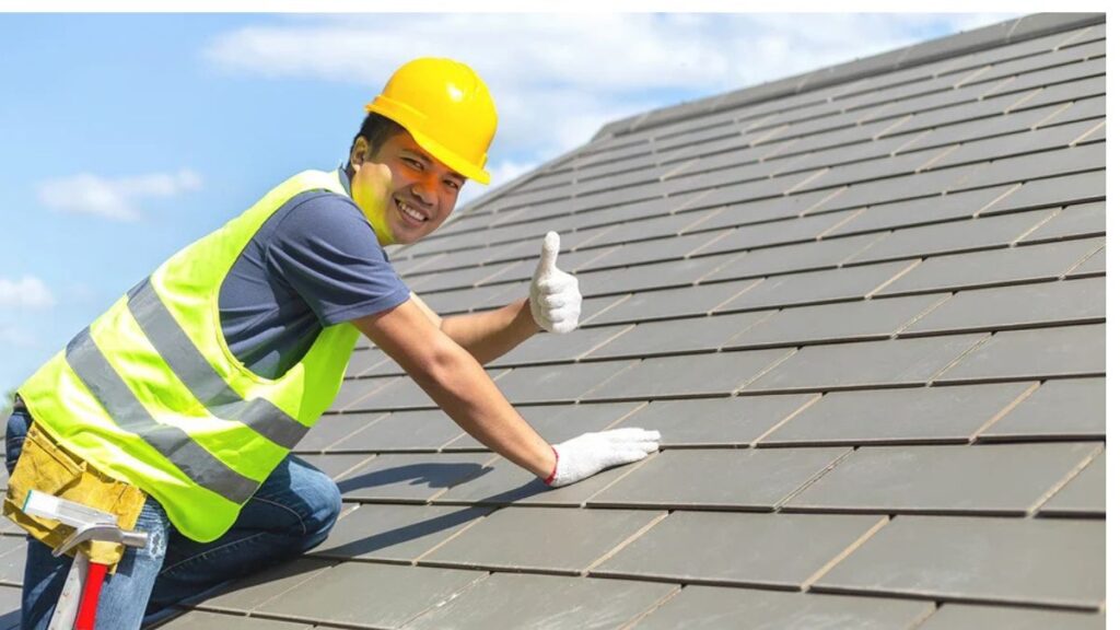 Professional Roof Services