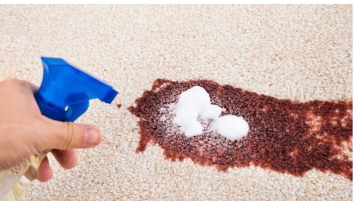 Revitalize your home with top-rated carpet cleaning services in Coto de Caza