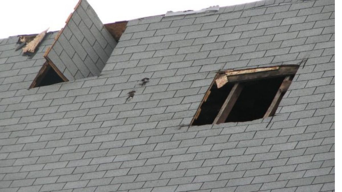 Understanding the Different Types of Roof Damage
